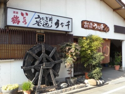 活うなぎ うな千